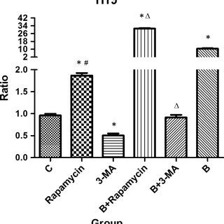 Qrtpcr Analysis Of Lncrna H Transcription Level In Iec Cells After