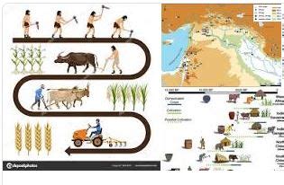 The Origins of Agriculture as a Natural Experiment in Cultural Evolution 