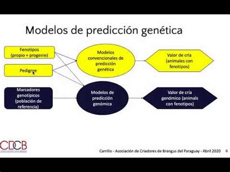 Desarrollo E Implementacion De Herramientas Genomicas En Programas De