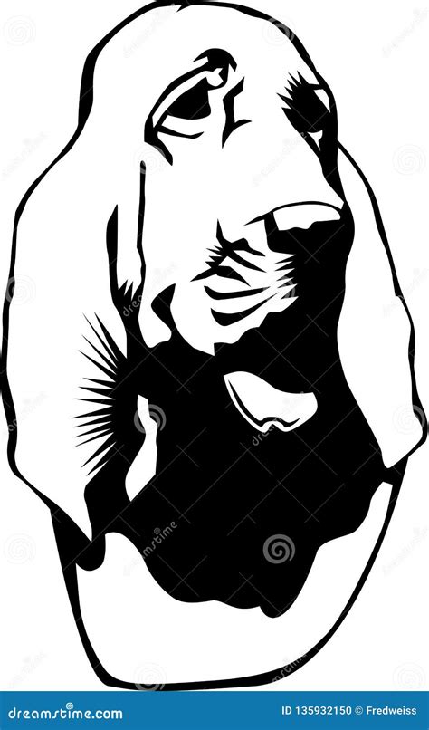 Bloodhound Vector Illustration Stock Vector Illustration Of Head