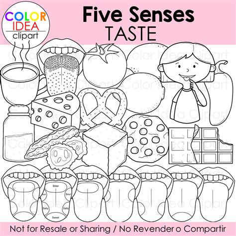 Five Senses - Taste | Made By Teachers