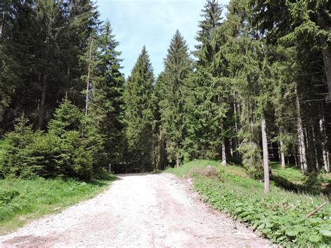 Monte Raitertal Zona Di Accampamento Dei Partigiani Nel Secondo