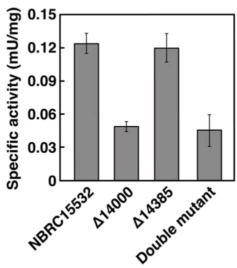 Microorganisms | Special Issue : Microbial Biodegradation and ...