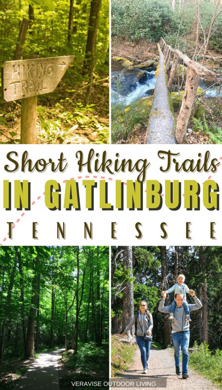 Short Hiking Trails In Gatlinburg, TN