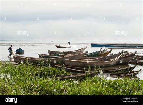 Fishing Boats On Lake Albert Uganda Stock Photo Alamy