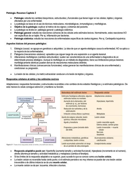 La Patología Según El Dr Ricardo Drut Estudio De Las Enfermedades