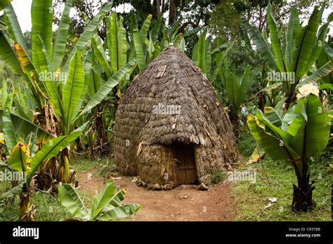 Beehive Shaped Hut Dorze Village Near Arba Minch Omo Valley South