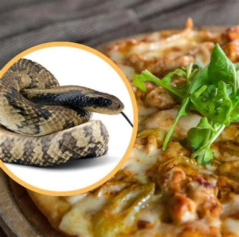 Pizza Hut Lanza Nuevo Sabor Con Carne De Serpiente Y Se Viraliza En Redes