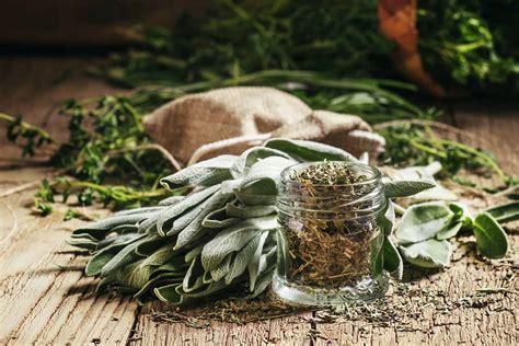 How To Dry Fresh Garden Herbs Gardener’s Path