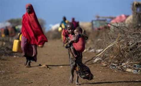 Las Guerras Matan De Hambre A Millones De Personas Ciencia Y