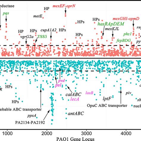 Genomewide Transcriptomic Profile Of P Aeruginosa Pa154197 And Pao1