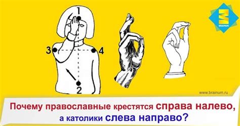 Как крестятся католики схема - 80 фото