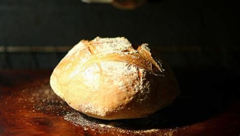 Artisan Bread In Five Minutes A Day The Discovery That Revolutionizes