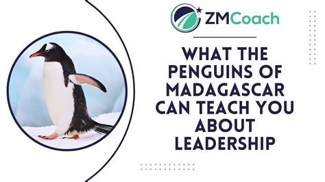 What The Penguins Of Madagascar Can Teach You About Leadership Youtube