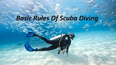 Main Rules Of Scuba Diving For Beginners Diving Atlantis