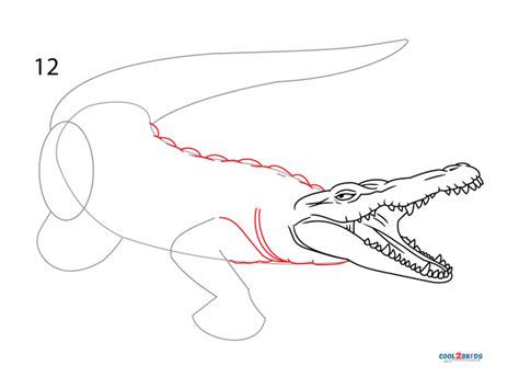 Jak Narysowa Krokodyla Krok Po Kroku Zdj Cia Pfcona