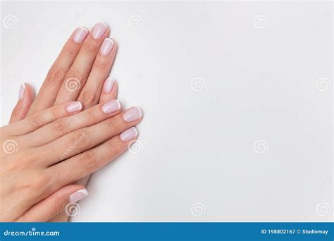 French Manicure Nude Nails Covered With Gel Polish On A White