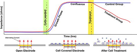 What Is Ecis Applied Biophysics