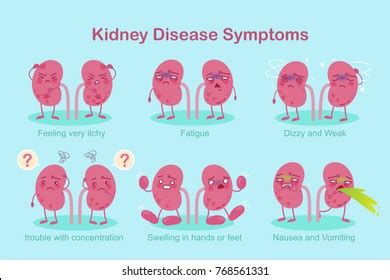 4,367 Cartoon Kidney Disease Royalty-Free Photos and Stock Images ...