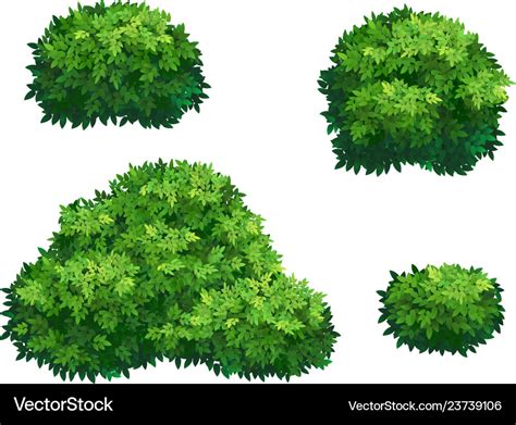 Green Bushes And Tree Crown Royalty Free Vector Image