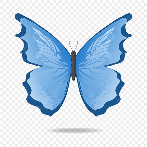 Hand Drawn Butterfly Vector Design Images Vector Cartoon Hand Drawn