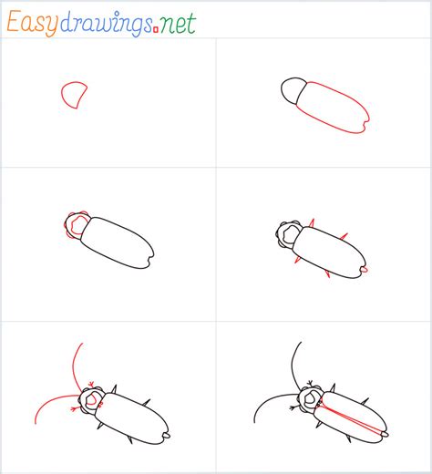 How To Draw A Firefly