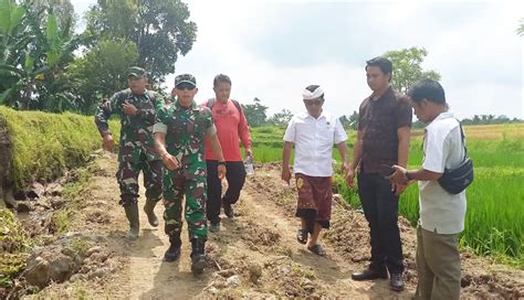 NUSABALI TMMD Di Desa Siangan Lancarkan Distribusi Hasil Pertanian