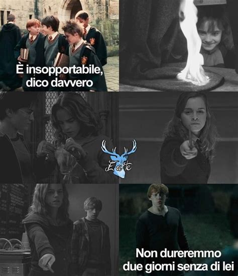 Pin Di Coco Su Salvataggi Rapidi Nel Harry Potter Divertente