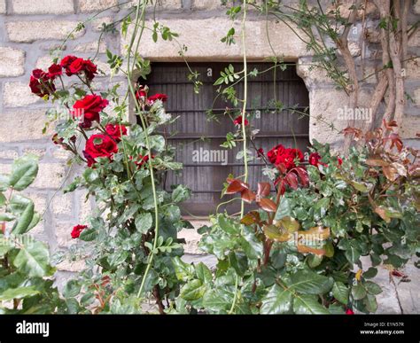 Old Looking Window Stock Photo Alamy