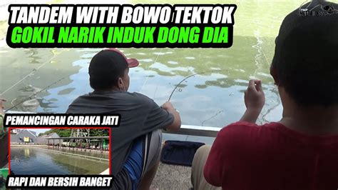 Bowo Tektok Narik Induk Pemancingan Baru Diantara Pohon Jati Asri