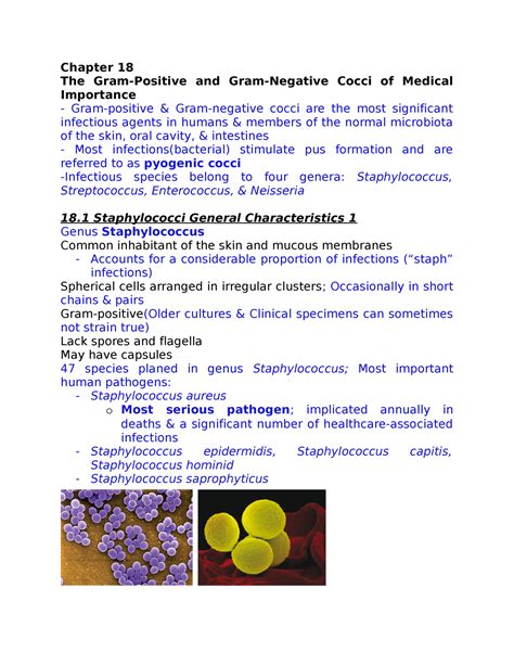 Chapter 18 Chapter 18 The Gram Positive And Gram Negative Cocci Of