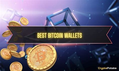 The 11 Best Bitcoin Wallets In 2024 Top Hot And Cold Options