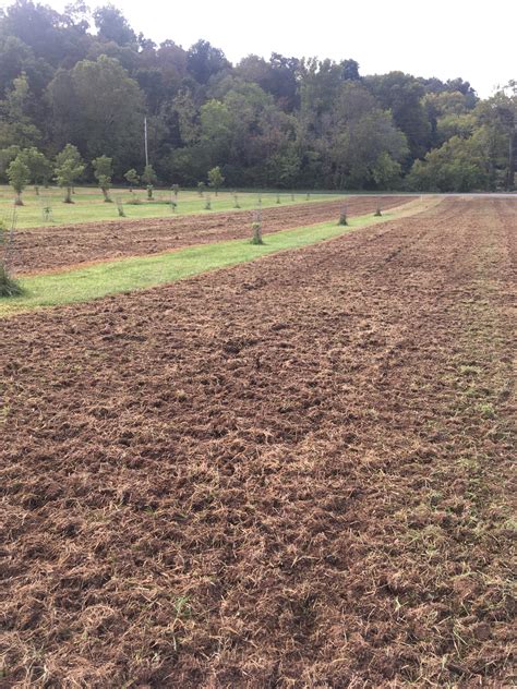 Cover Crop Bee Pasture Rock Bridges Trees