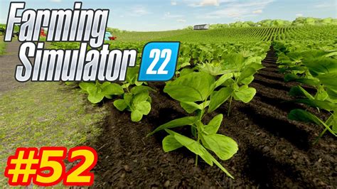 52 Pierwszy słonecznik Farming Simulator 22 YouTube