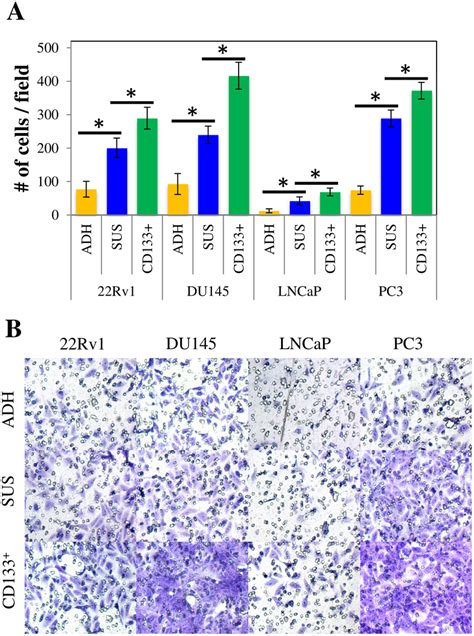 Cd133 Cells Are Responsible For The Enhanced Invasive Potential Of