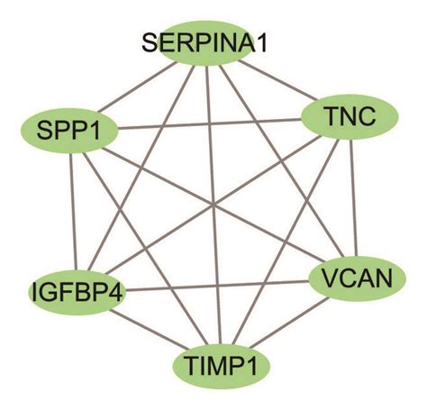 PPI Networks Of The Common DEGs And Module Analysis A The PPI