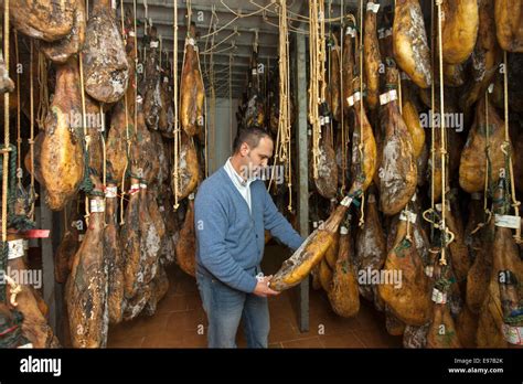 Jamón de cerdo negro pata negra colgando para secar en una bodega en