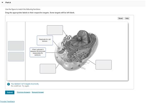 Solved Use The Figure To Match The Following Functions Drag Chegg