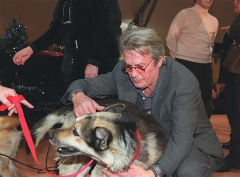 Alain Delon et ses nombreux chiens nourris à la panse de boeuf deux