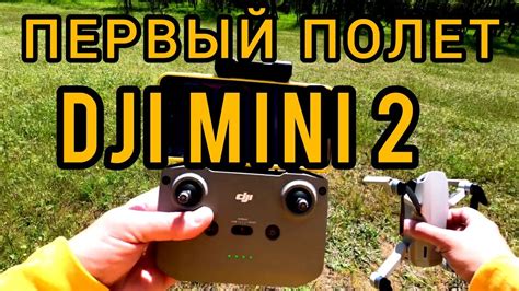 ПЕРВЫЙ ПОЛЕТ DJI MINI 2 YouTube