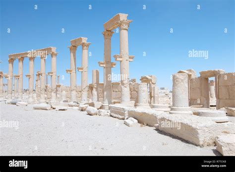 Ruins Of The Ancient City Of Palmyra Palmyra District Homs