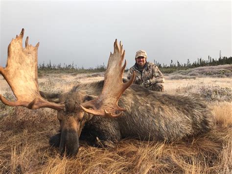 Buck Lake Adventures - Newfoundland Outfitter | Big Game Hunting, Moose ...