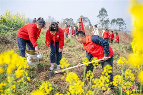 植树添新绿 不负好春光 光明网