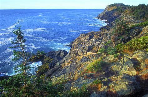 Monhegan Island Cliff Trail Photograph By John Burk Fine Art America