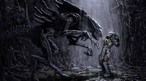 Predator Wallpapers Hd X Wallpaper Cave