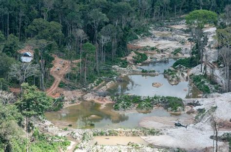 Projeto De Lei Busca Coibir Garimpo Ilegal De Ouro No Brasil Minera