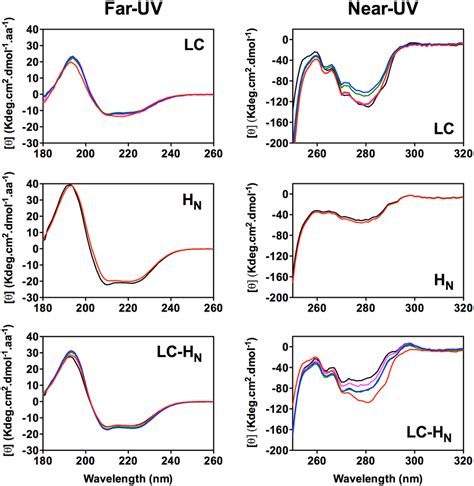 Far And Near Uv Cd Spectra Of Lc H N And Lc H N Proteins Of Bont A