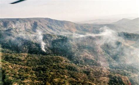 Incendio Forestal Consume Dos Parajes De La Selva De Los Chimalapas En Oaxaca Oaxaca