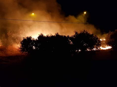 Incendio A Caulonia Marina In Zona Torre Spento Dalla Protezione