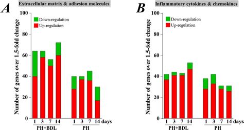 Cell Adhesion Pcr Array Assay Creative Bioarray Cellassay